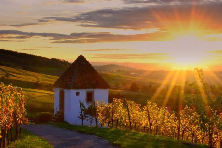 Ferienwohnung Rebblick Мюлльгайм Екстер'єр фото
